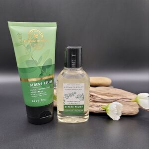 Bath & Body Works Eucalyptus and Spearmint Stress Relief Body Wash and Lotion